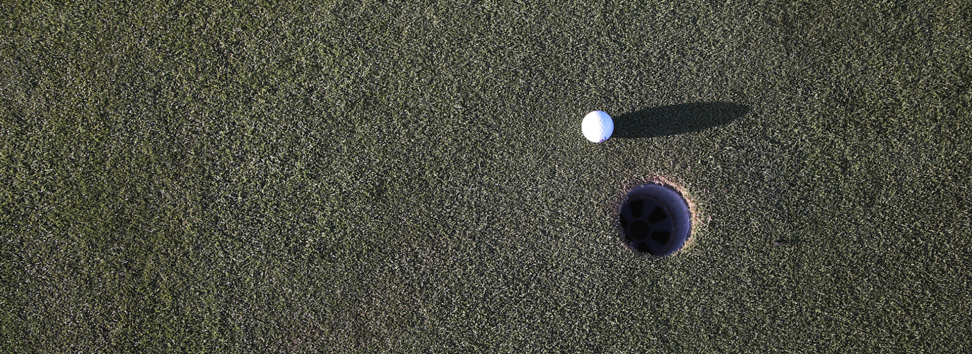 Golf ball near hole on golf course